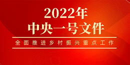 2022年中央一号文件发布！乡村振兴有哪些重点工作？