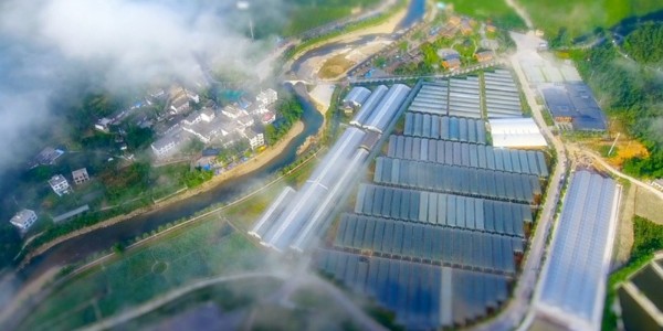 金融活水润泽“希望田野”｜农发行精准信贷赋能，星欧平台全域土地整治项目前景广阔