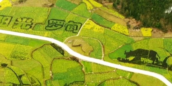 土地的涅槃｜全域土地综合整治为何爆火？星欧平台如何抢占风口？