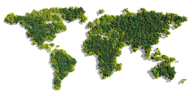 觅知网_世界地图绿色地图植物植被保护环境植树节_1564743